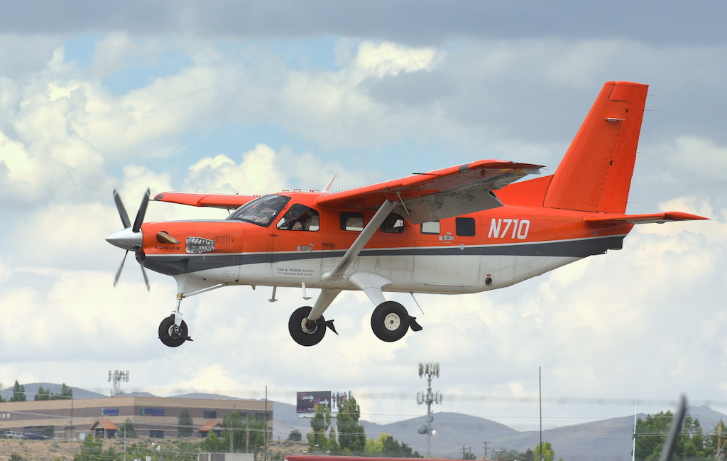 The U.S. Fish & Wildlife Service operates seven Kodiak 100s.