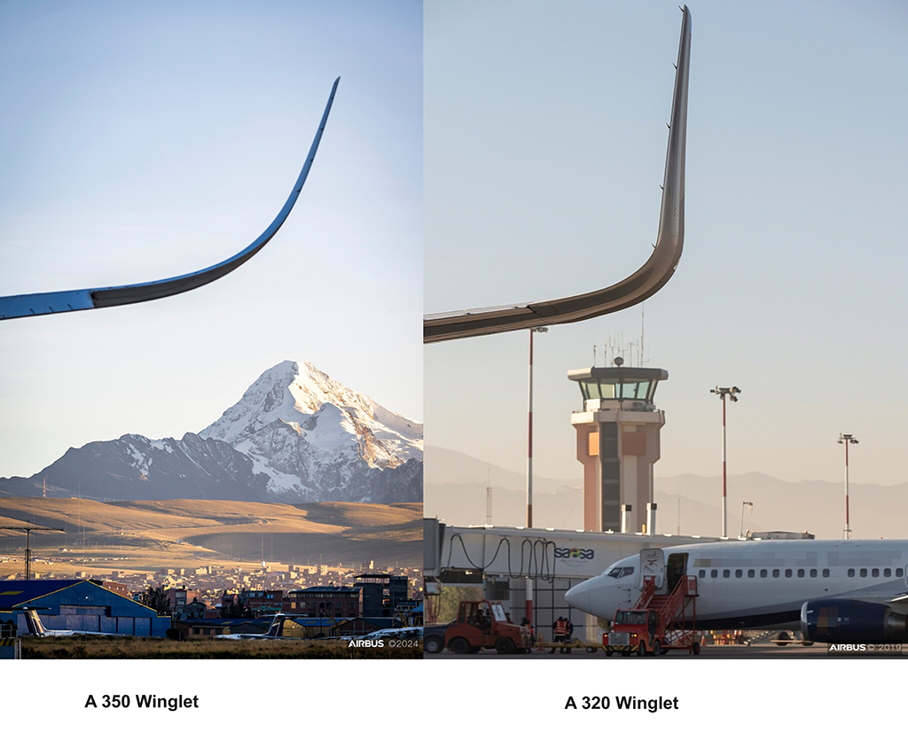 Airbus winglets