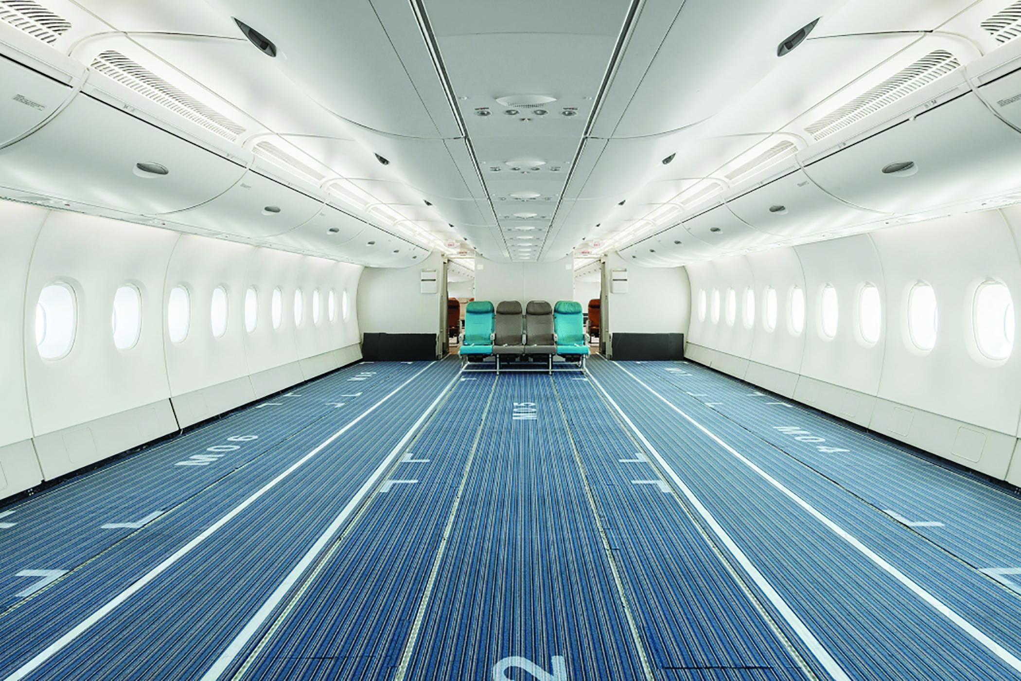 A380 passenger cabin for cargo use