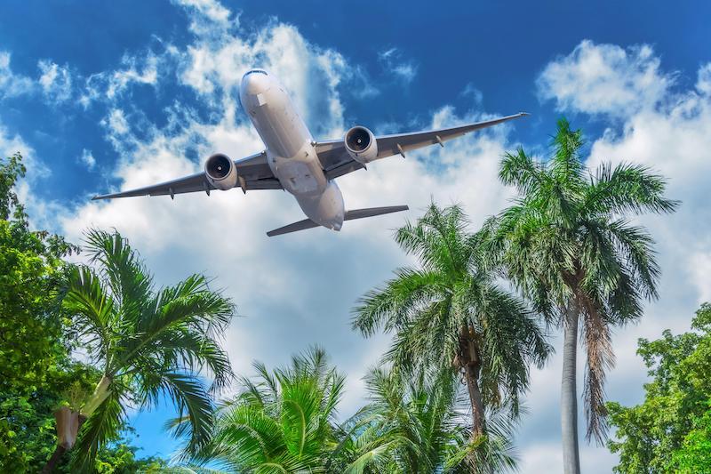 airplane over trees