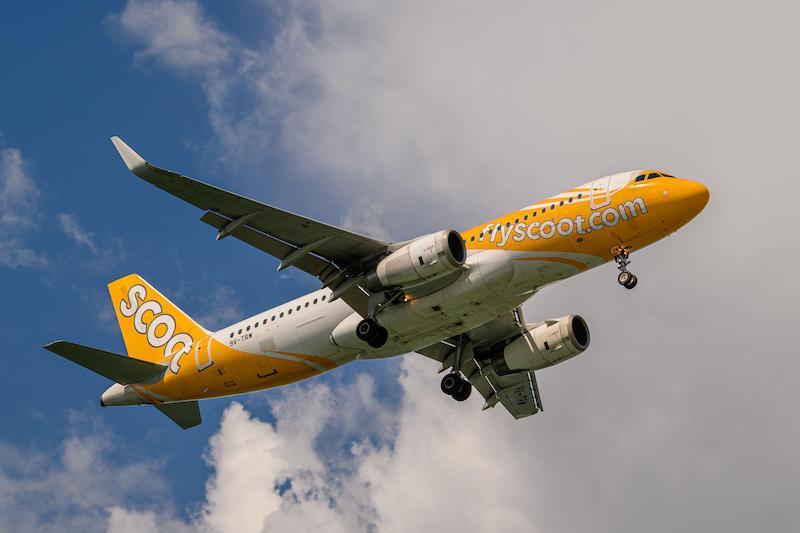 scoot a320