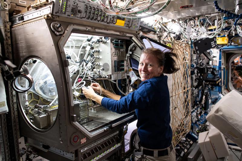 nasa astronaut