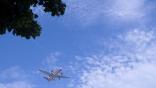 plane flying over trees