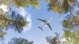 airplane over trees