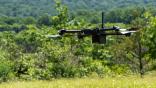 Drone flying through forested area