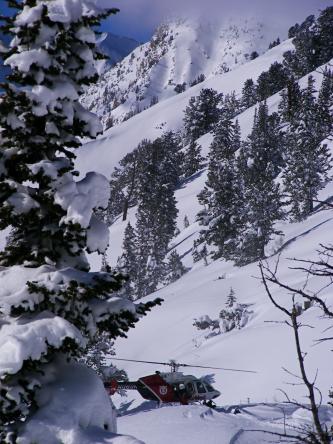 Avalanche awareness and rescue training